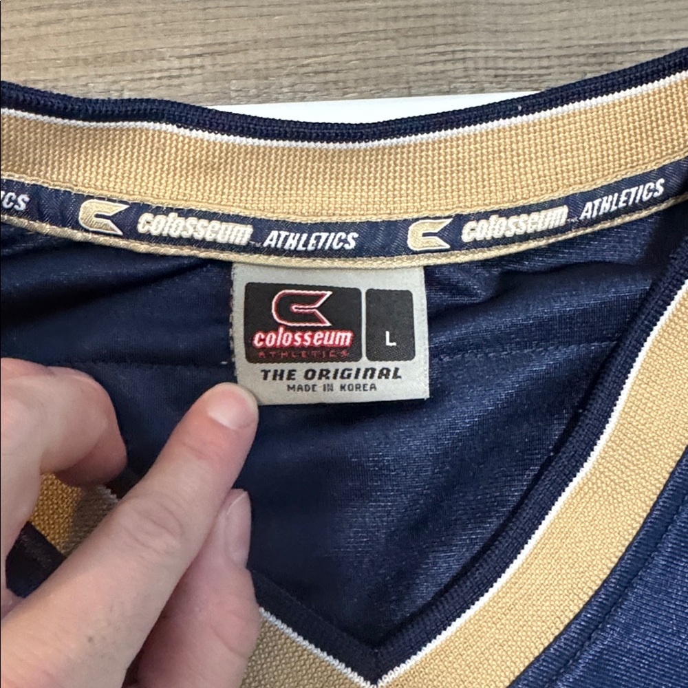 Vintage Colosseum Athletics Mens Pittsburgh Panthers Mesh Football Jersey PITT - Picture 2 of 8